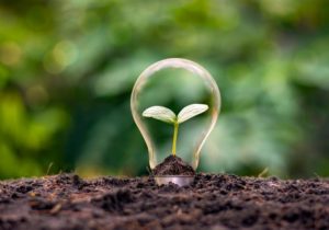 How New Sustainability Efforts Can Boost Efficiency and Profit