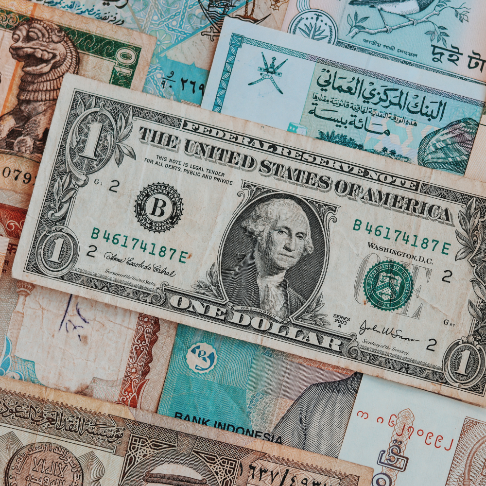 Demonstrate your economic impact