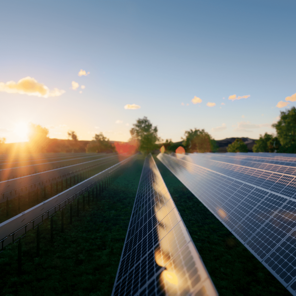 Sustainability as a transformation catalyst: Trailblazers turn aspiration into action