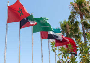 MENA Forecasting Service