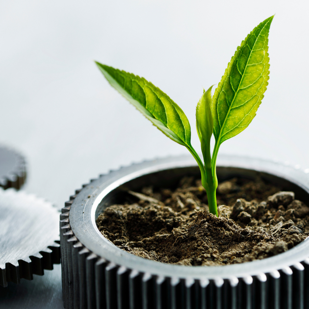 Sustainability impact measurement and reporting