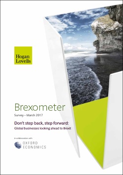 The Hogan Lovells Brexometer