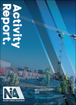 Nuclear Activity Report 2016