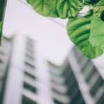 Green building