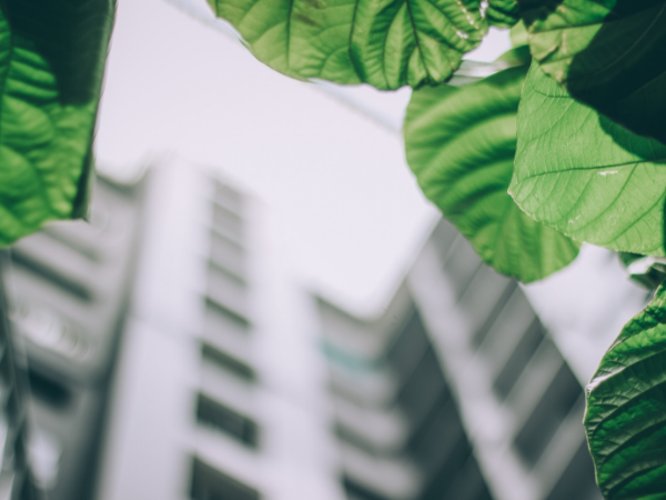 Green building