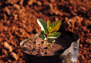 Understanding climate-related implications on investment strategies