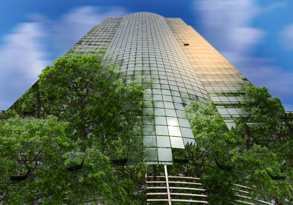 Practical pathways to transformational sustainability: Insights from the latest IBM CEO study