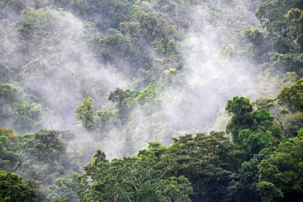 Deep Green – Making positive sustainability progress in Australian enterprise