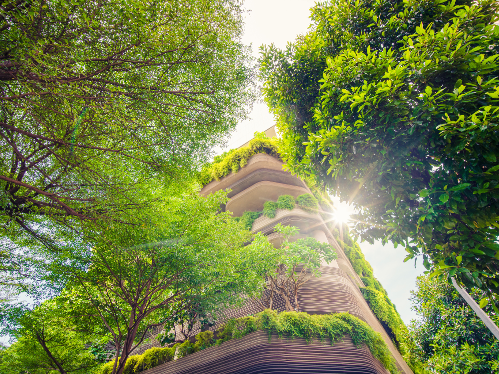 Investment behaviour in sustainable finance