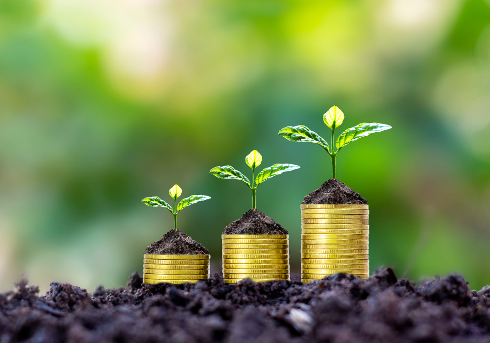 Sustainability risk and business resilience: How to turn sustainability into a competitive advantage
