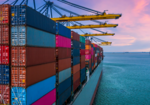 Asia Pacific: Exports are Riding the AI Frenzy