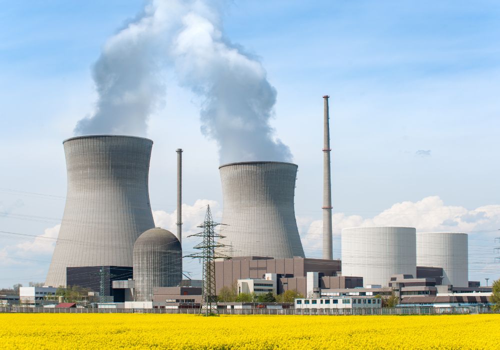 Nuclear plant