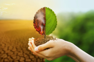 Setting a 2035 emissions target is hard, but achieving it will be much harder