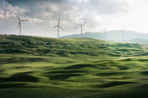 Can we walk the talk as we approach our 2030 climate goals?