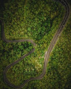 Austroads Workforce Capability Analysis and Strategies