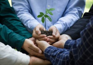 Four steps to ensure corporate sustainability programs are actually sustainable