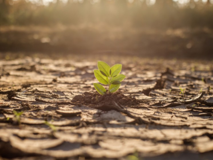Credibility Gap in Climate Policy