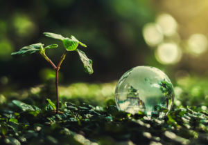 Overcoming Scope 3 data challenges for global supply chains