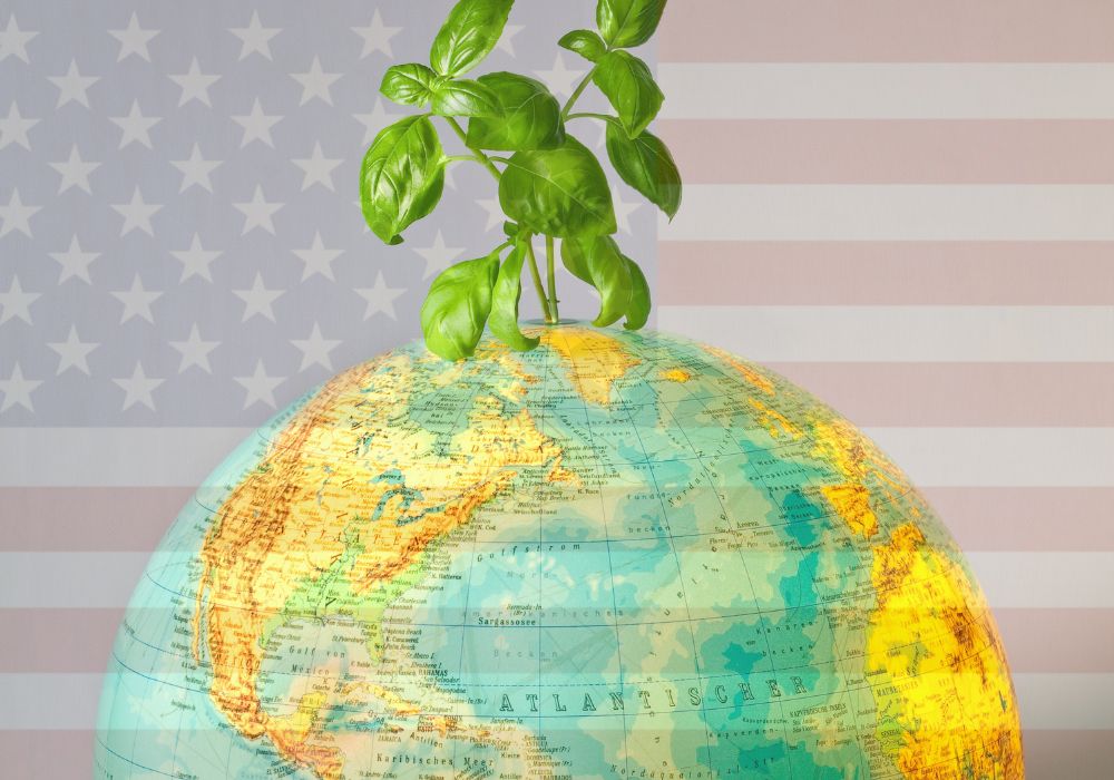 Trump 2.0: US climate policy in retreat