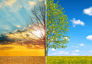 Climate Risk Insurance Modelling for Australia’s Future