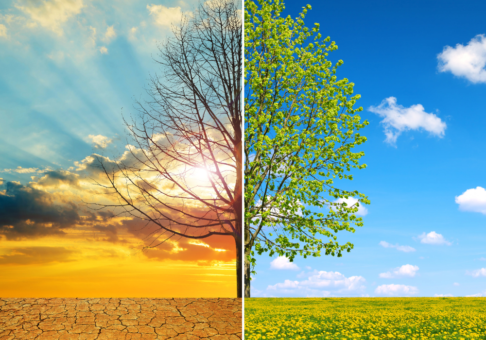 Climate Risk Insurance Modelling for Australia’s Future