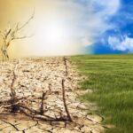 COP 30 in focus: How to stay the course on the path to Net Zero