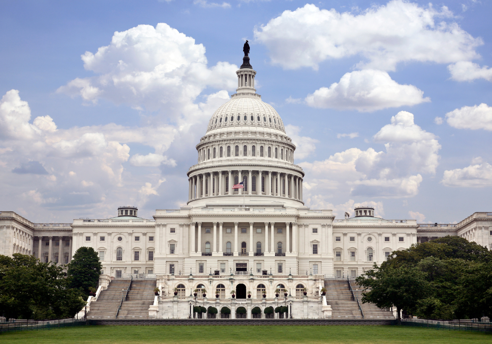 This year’s US midterms add to an uncertain policy outlook